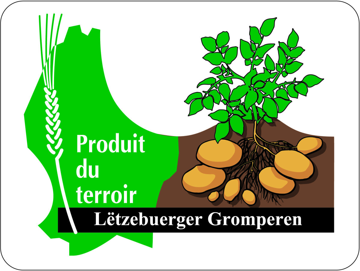 Logo-PDT-Gromperen_300dpi