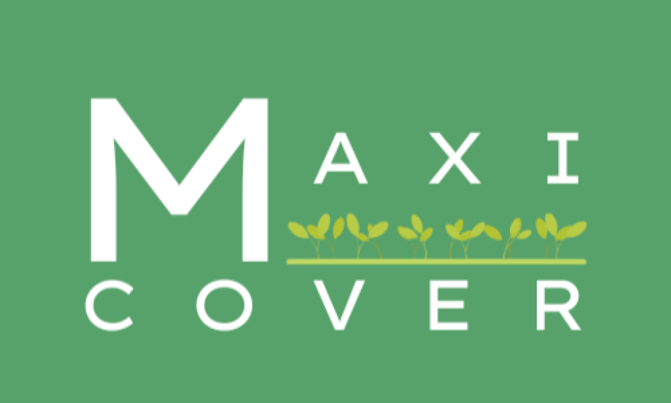 Logo Maxi Cover